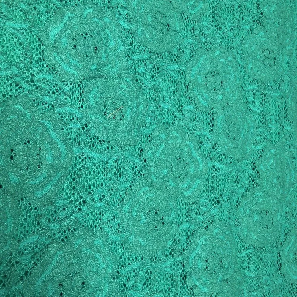 Anthropologie Maeve Alva Lace Pencil Skirt S Whimsigoth Prof Chic Quirky Retro